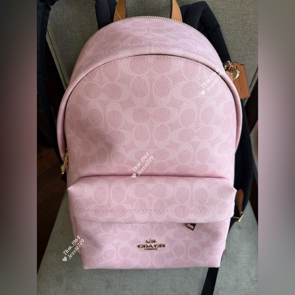 Coach Handbags - NWT！COACH Taylor Small Backpack In Signature With Charms（CEF46）fast shipping